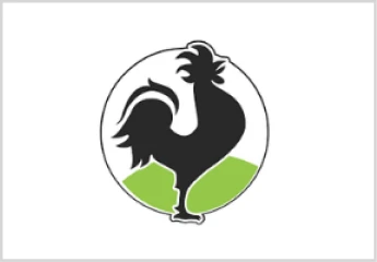 the-rooster